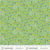Cotton Fabric HUCKLEBERRY 54980D-13 Mint from SUNSHINE Collection by Sally Kelly for Windham