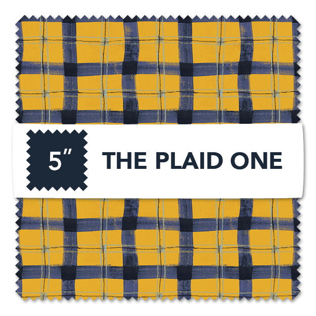 FABRIC, 5"x5" CHARM PACK, CP5TPLO-X Multi from Marcia Derse's THE PLAID ONE Collection for Windham