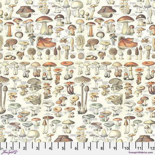 Fabric ORANGE-TOADSTOOLS, PWTH236.ORANGE, from Palette ORANGE Collection by Tim Holtz