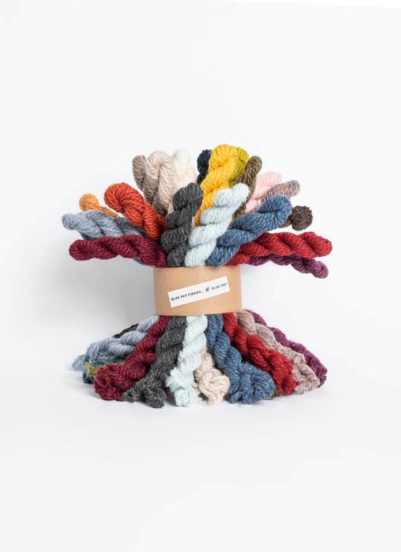 Blue Sky Fibers WOOLSTOK BUNDLE KIT - 27 COLOR BUNDLE #1310K
