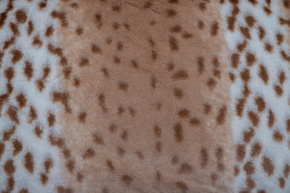 Shannon Fabrics Luxe Cuddle Leopard, 58-60# wide